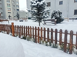 Kabuklu Dekor Tahtası 98 cm gönyeli